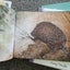 HOMESICK FOR AUSTRALIA? AUSSIE BULK BOOK BUNDLE x 14 Carousel 10