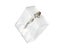 Leaf Electroscope Foil Electroscope Electrometer For Lab Electrical Physics Carousel 4