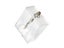 Leaf Electroscope Foil Electroscope Electrometer For Lab Electrical Physics Carousel 5