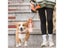 Dog Portable Travel Water Dispenser Folding With Water Cup Go Out Portable Pet Carousel 4