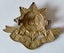 NZ WW1 HAURAKI REGIMENT CAP BADGE - CLEARANCE SALE Carousel 2