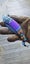 20cm 'Indios' 5-Colour Options Outdoor Portable Pocket Folding Knife a COOL Gift Carousel 9