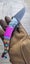 20cm 'Indios' 5-Colour Options Outdoor Portable Pocket Folding Knife a COOL Gift Carousel 16