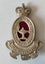 ROYAL AUSTRALIAN ARMY NURSING CORPS BADGE - CLEARANCE SALE Carousel 1