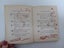*** Reflections of a Bachelor with Decorations by B. Gutmann 1906 *** Carousel 7