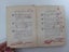 *** Reflections of a Bachelor with Decorations by B. Gutmann 1906 *** Carousel 8