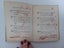 *** Reflections of a Bachelor with Decorations by B. Gutmann 1906 *** Carousel 10