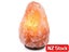 Large Salt Lamp NZ Clearance Carousel 5