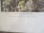 ELLIS DUDGEON HAND COLOURED NELSON / MAITAI PHOTO Carousel 4
