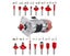ROUTER BIT SET 1/4" SHANK 15PCS Carousel 5