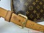 Louis Vuitton Odeon Pm Crossbody Handbag Carousel 8