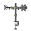 Dual Monitor Stand Rack New Carousel 5