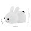 NNETM LED Cute Bunny Night Light - Rechargeable Color Changing Lamp for a Glo... Carousel 9