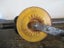 STANLEY HAND DRILL BRACE. VINTAGE Carousel 3