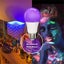 NEW Black Light Sale Sale Carousel 10