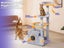 Cat Tree Carousel 6