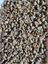 Green Coffee Arabica 9 Kg Carousel 4