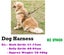 Dog Harness - XL - In Stock NZ Deal Carousel 1