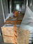 Loading Image 2 of 11