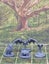 Cute Critters Animal Miniatures Set Dungeons and Dragons dice4dungeons SCHLOSS Carousel 15