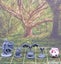 Cute Critters Animal Miniatures Set Dungeons and Dragons dice4dungeons SCHLOSS Carousel 16