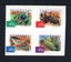 Loading Image 1 of 1