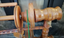 Peacock Spinning Wheel - Fotomotor Era Carousel 13