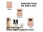 1PC Washable Reusable Dog Diaper For Pee Absorbent Leak Proof Carousel 6