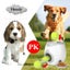 Tennis Ball Machine Fetch and Treat Toy Carousel 5