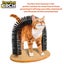 PTN NEW Cat Scratching Toy Sale Sale Carousel 5