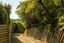 gallery view thumbnail