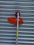 52cc brush cutter / weed eater 2 IN 1 Carousel 2