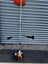 52cc brush cutter / weed eater 2 IN 1 Carousel 1