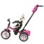 Bentley Tricycle - Fuchsia Pink Carousel 3