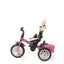 Bentley Tricycle - Fuchsia Pink Carousel 4