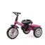 Bentley Tricycle - Fuchsia Pink Carousel 5