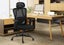 NEADER Ergonomic Mesh Office Chair Desk Computer Armchair Swivel Adjustable BK Carousel 1