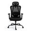NEADER Ergonomic Mesh Office Chair Desk Computer Armchair Swivel Adjustable BK Carousel 11