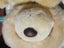 Forever Friends Bear - 21 cm sitting, 30 cm tall Carousel 5