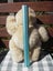 Forever Friends Bear - 21 cm sitting, 30 cm tall Carousel 12