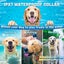New Dog Training Collars on Afterpay Carousel 9