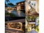 PTN NEW Motion Sensor Light Bulb Sale - Sale Sale Carousel 18