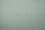 Studs | Ball | 2mm | 925 Stg Silver #739 Carousel 1