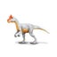 Loading Image 1 of 1