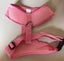 DOG HARNESS SIMPLE NET - Medium Carousel 3