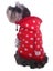 Hoodie for Dogs 35cm - 7 colour choices to choose! Carousel 4