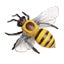 Loading Image 1 of 4