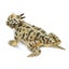 Loading Image 1 of 4