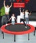 Kids Trampoline Carousel 5
