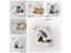 Crystal Knob Transparent Round Cabinet Wardrobe Dresser Drawer Knob Durable Carousel 6